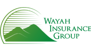 Wayah Insurance Group Franklin NC